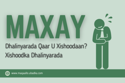 Maxay Dhalinyarada Qaar U Xishoodaan Xishoodka Dhalinyarada