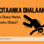 Dhicitaanka Dhalaanka - Shilalka qaar, xittaa waxay dhacaan waalidiintoo aad u taxaddar badan, isla mar ahaantaana feejigan, dhicitaanka dhalaanka waa arin badanka ku dhacda qoysaska.