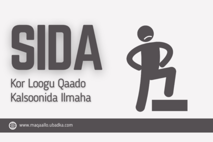 Kalsoonida ilmaha oo la dhiso, misna kor loo qaado waa arin runtii lama huraan ah, oo ay tahay waalidiintu inay ka caawiyaan ubadkooda sidii ay is kugu kalsoonaan lahaayeen, misna ula tacaali lahaayeen dareemahooda, iyadoo kalsoonidu saamayn weyn ku yeelan karto dhisidda caafimaadkooda maskaxeed.